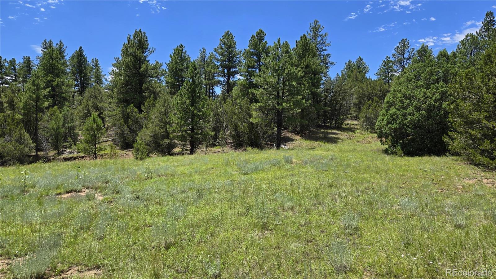 20 Colorado Mountain Lake Estates Trinidad CO 81082