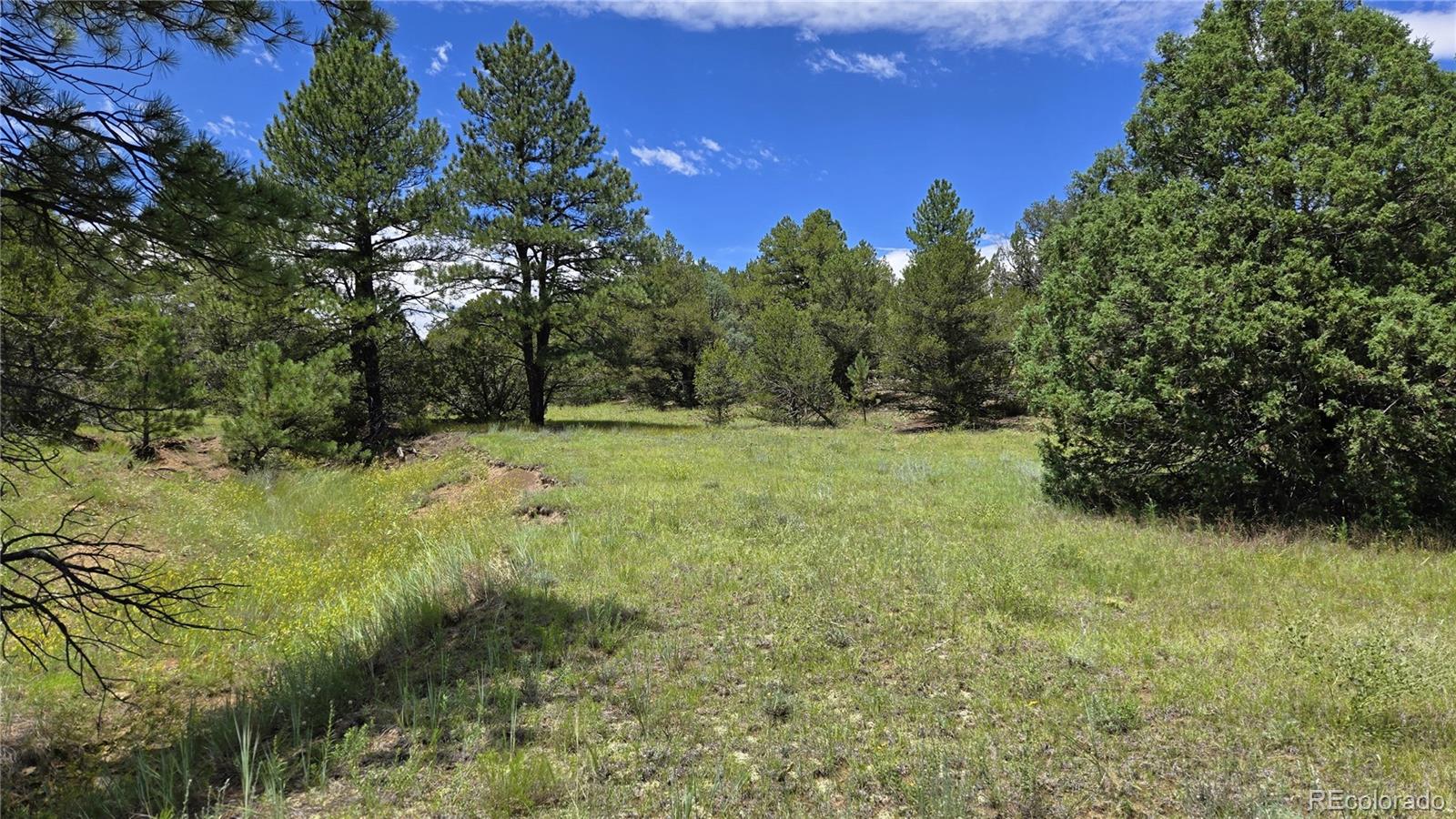20 Colorado Mountain Lake Estates Trinidad CO 81082