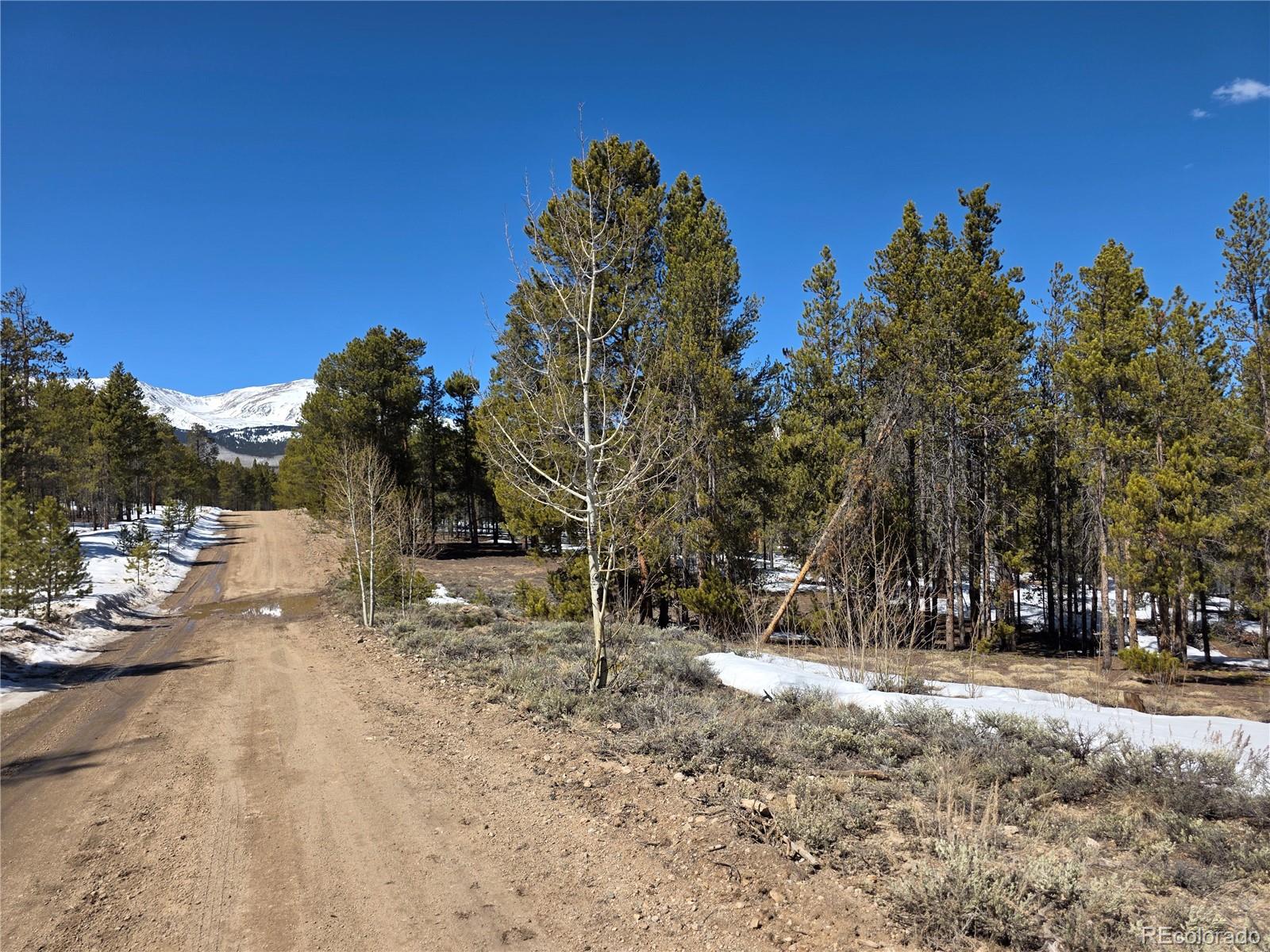 Pan Ark Lots 20 & 29 Twin Lakes CO 81251