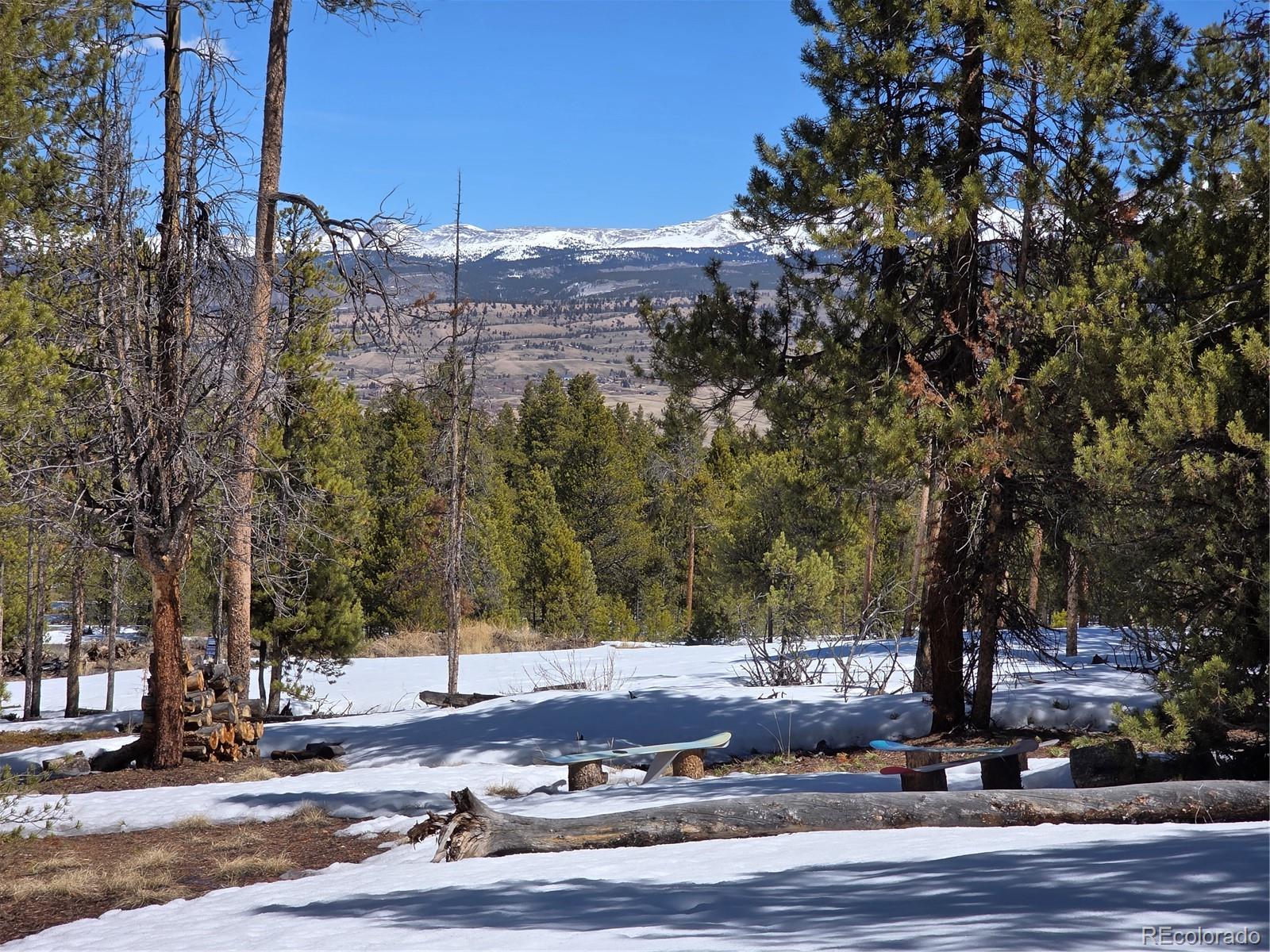Pan Ark Lots 20 & 29 Twin Lakes CO 81251