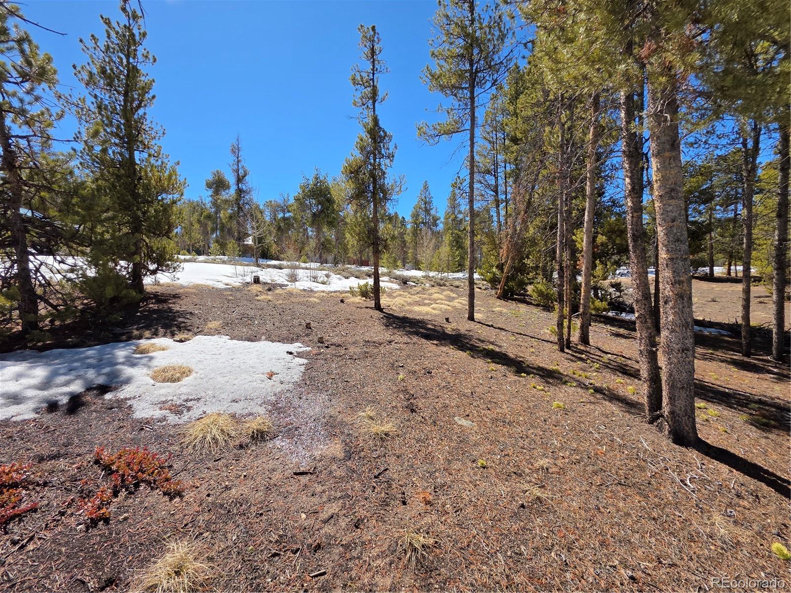 Pan Ark Lots 20 & 29 Twin Lakes CO 81251