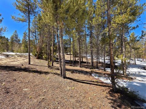 Pan Ark Lots 20 & 29 Twin Lakes CO 81251