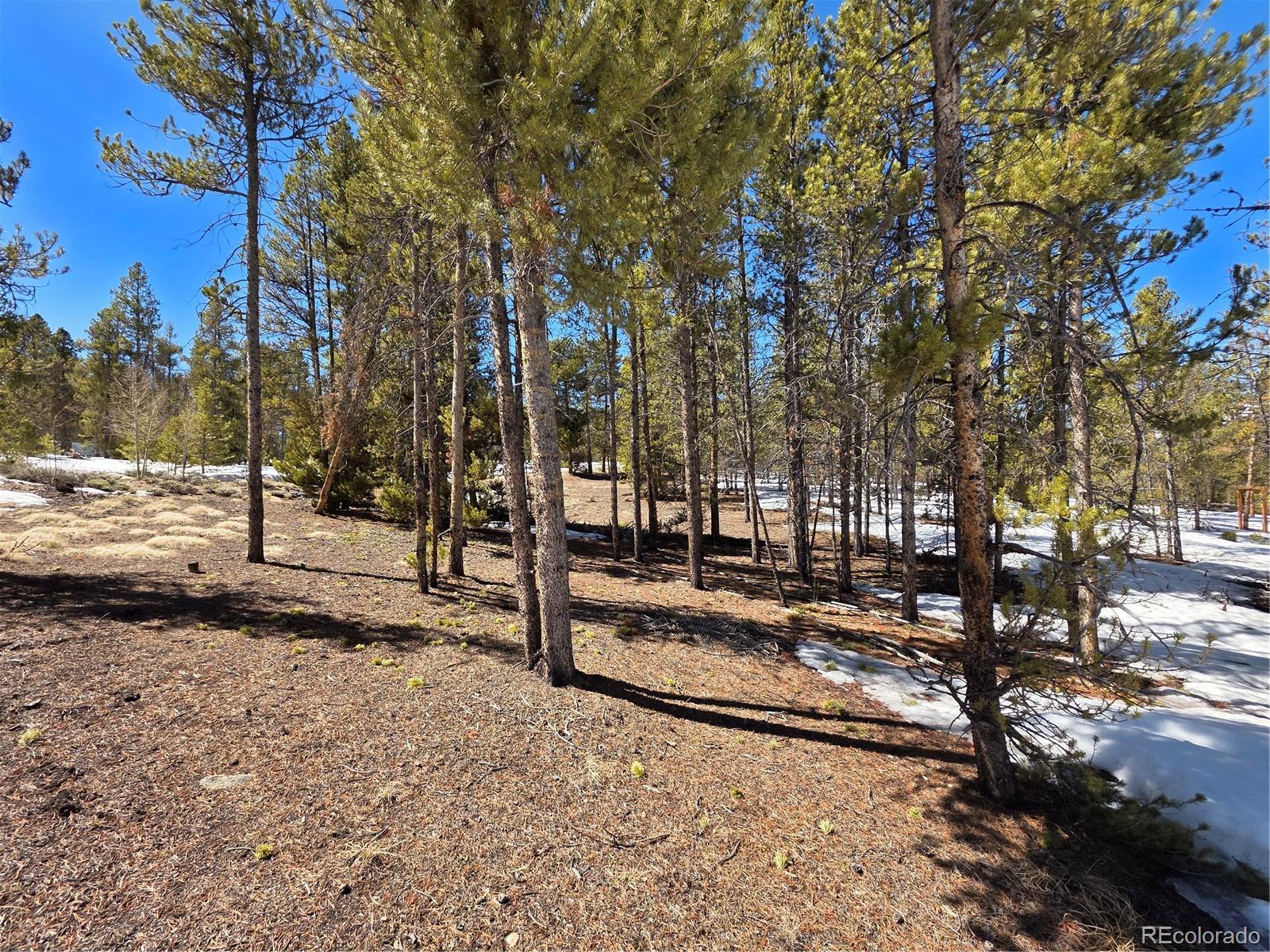 Pan Ark Lots 20 & 29 Twin Lakes CO 81251