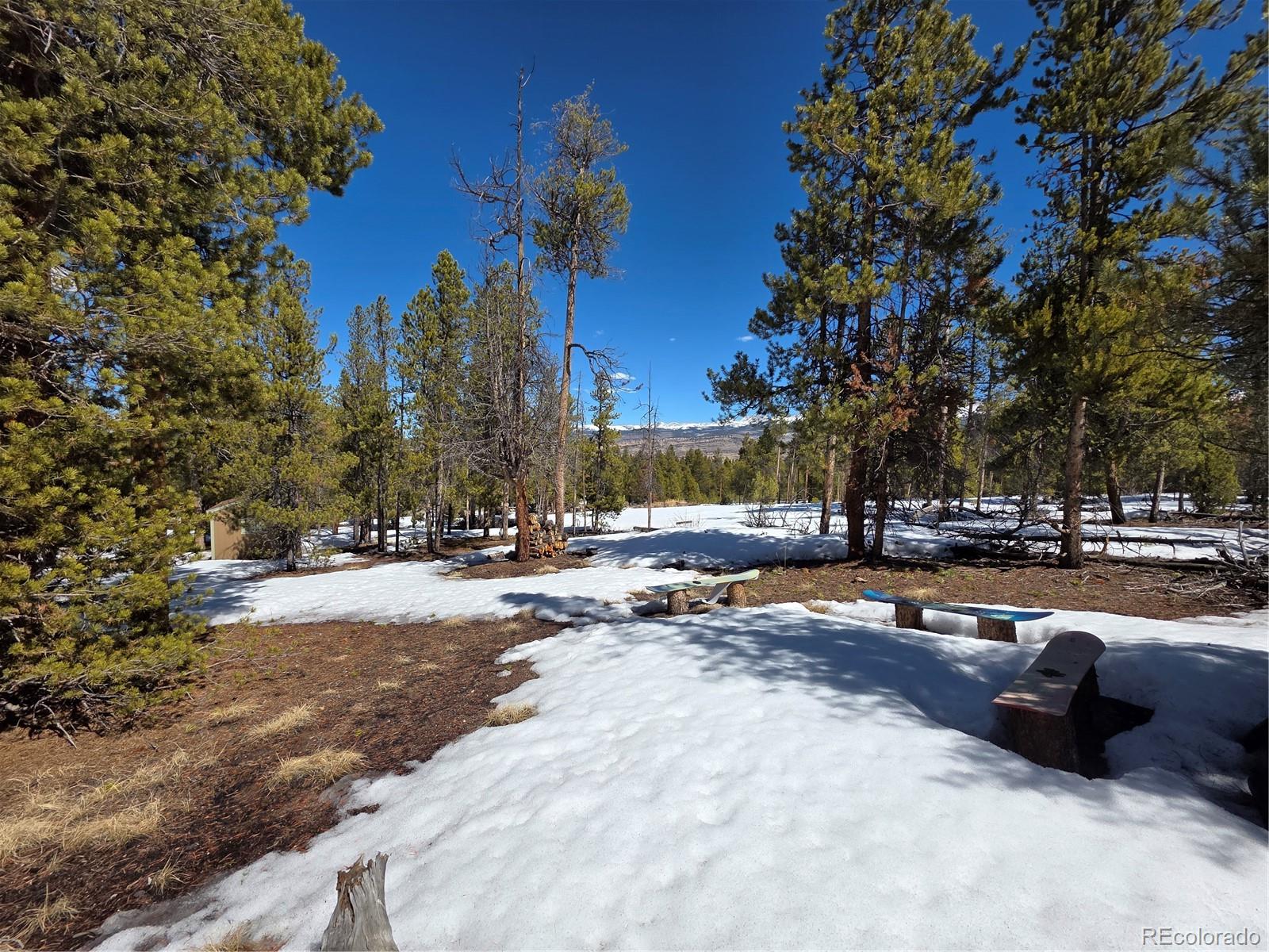 Pan Ark Lots 20 & 29 Twin Lakes CO 81251