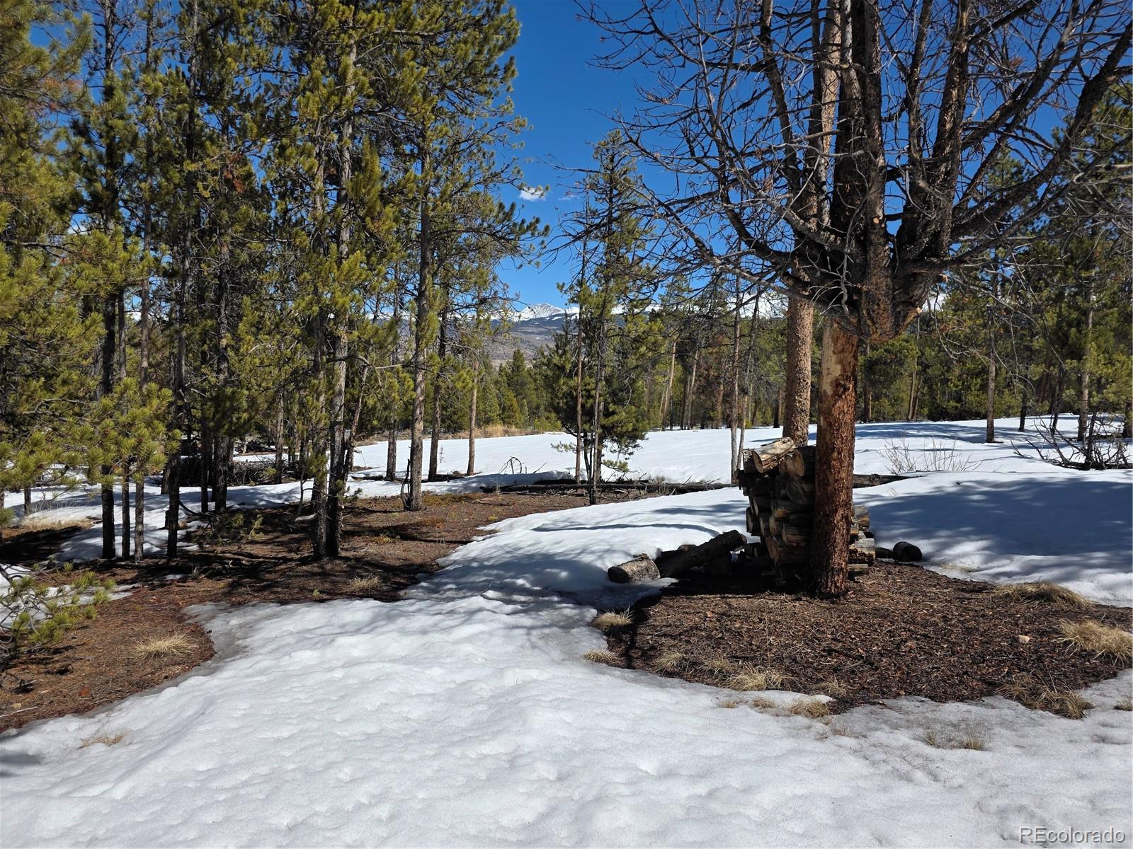 Pan Ark Lots 20 & 29 Twin Lakes CO 81251