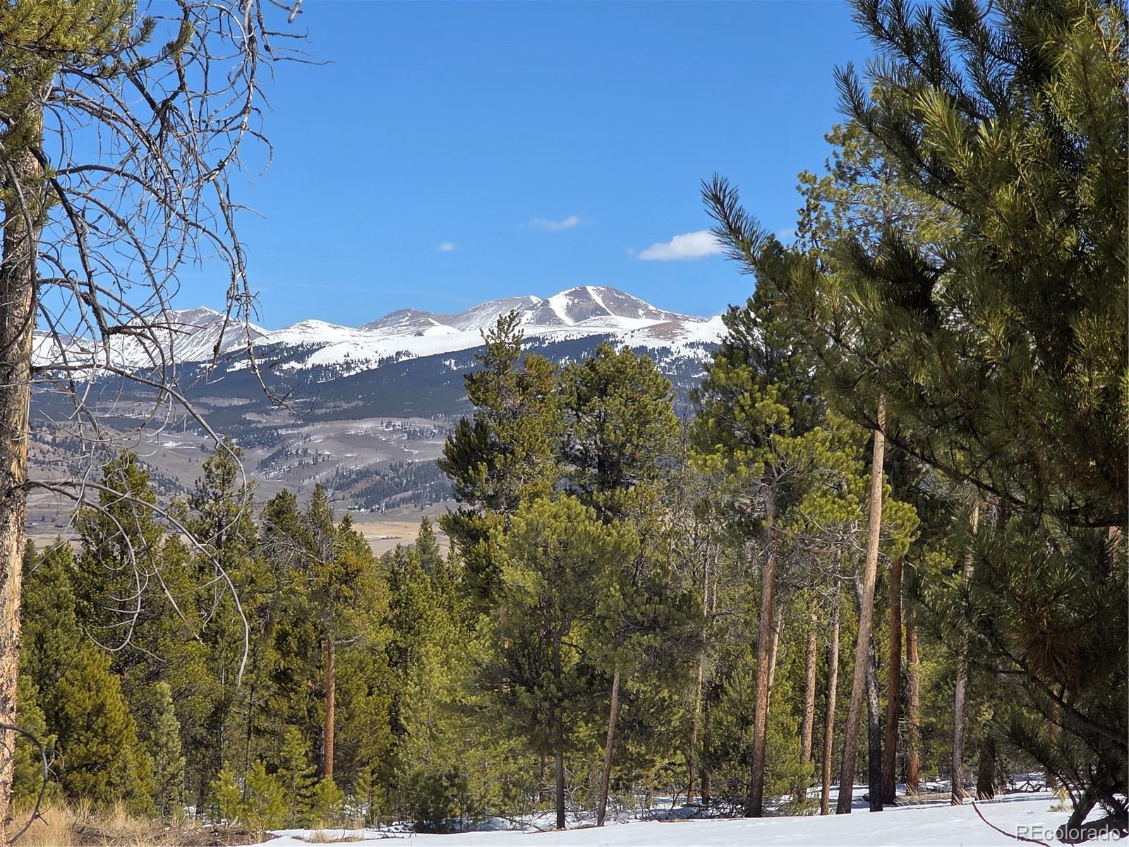 Pan Ark Lots 20 & 29 Twin Lakes CO 81251