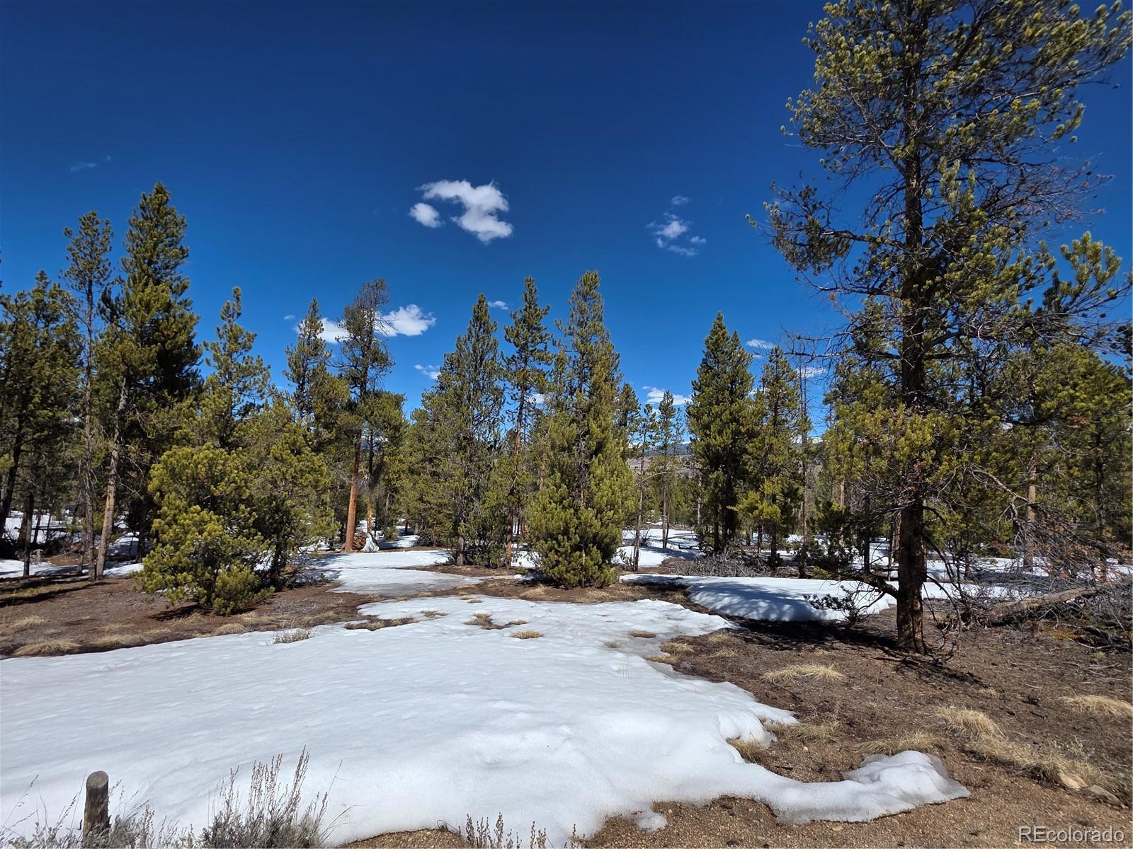 Pan Ark Lots 20 & 29 Twin Lakes CO 81251