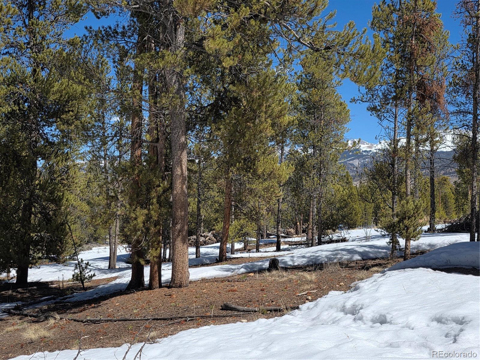 Pan Ark Lots 20 & 29 Twin Lakes CO 81251