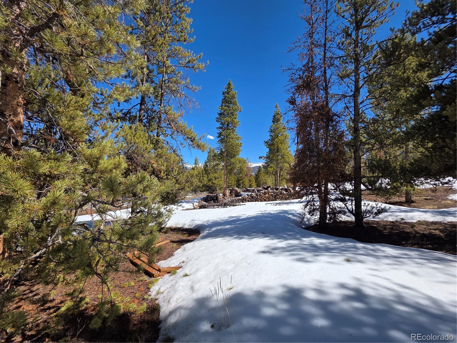 Pan Ark Lots 20 & 29 Twin Lakes CO 81251