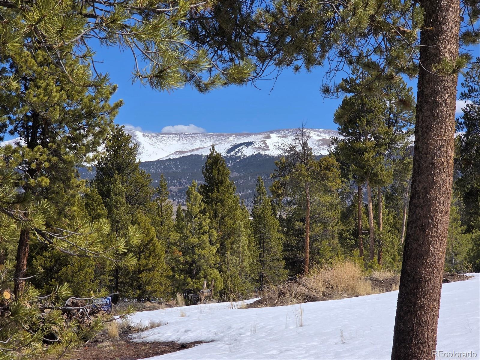 Pan Ark Lots 20 & 29 Twin Lakes CO 81251