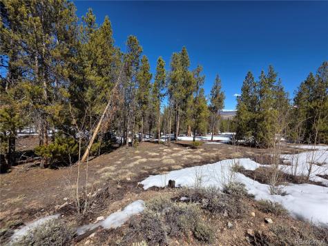 Pan Ark Lots 20 & 29 Twin Lakes CO 81251