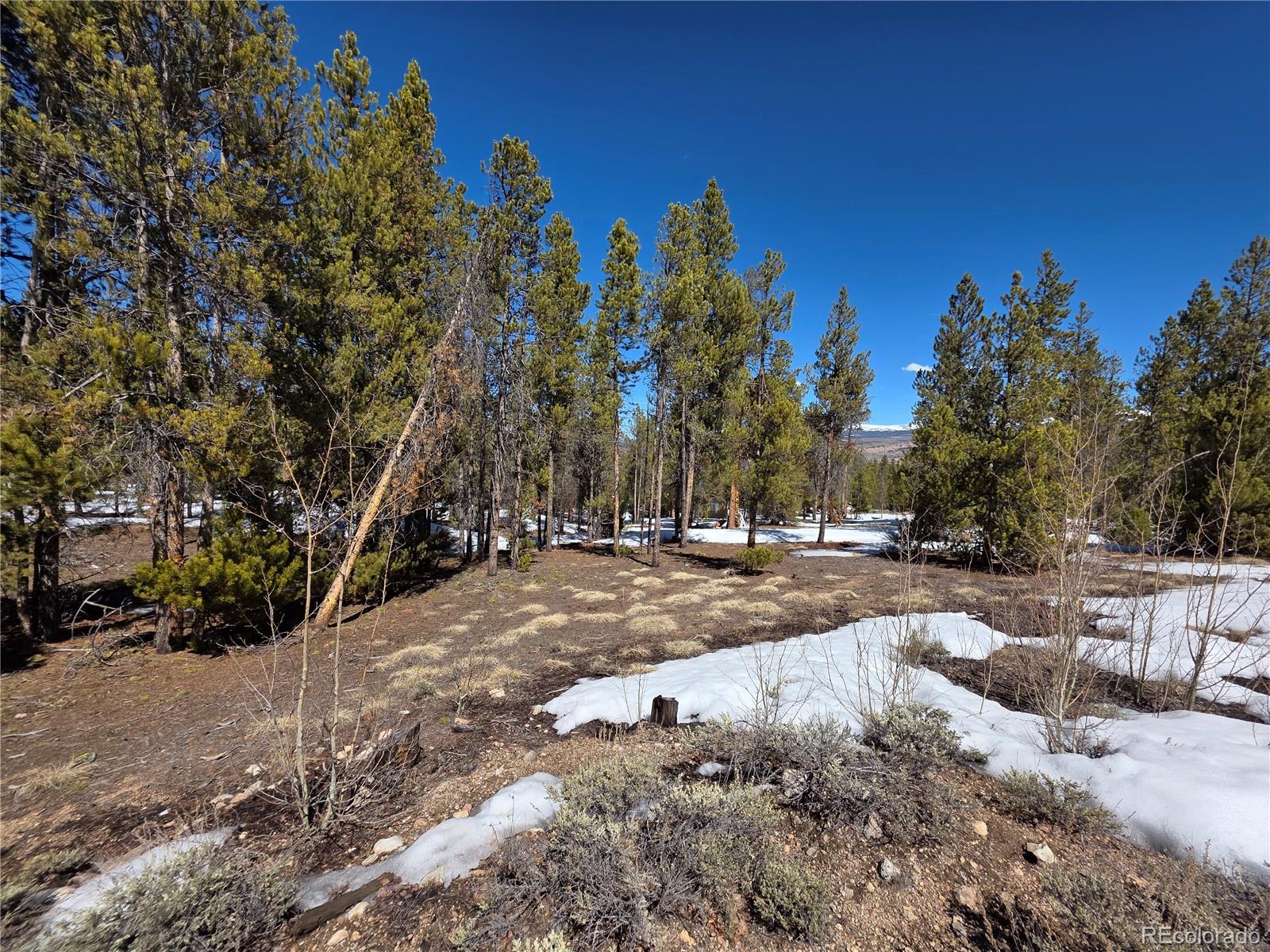 Pan Ark Lots 20 & 29 Twin Lakes CO 81251