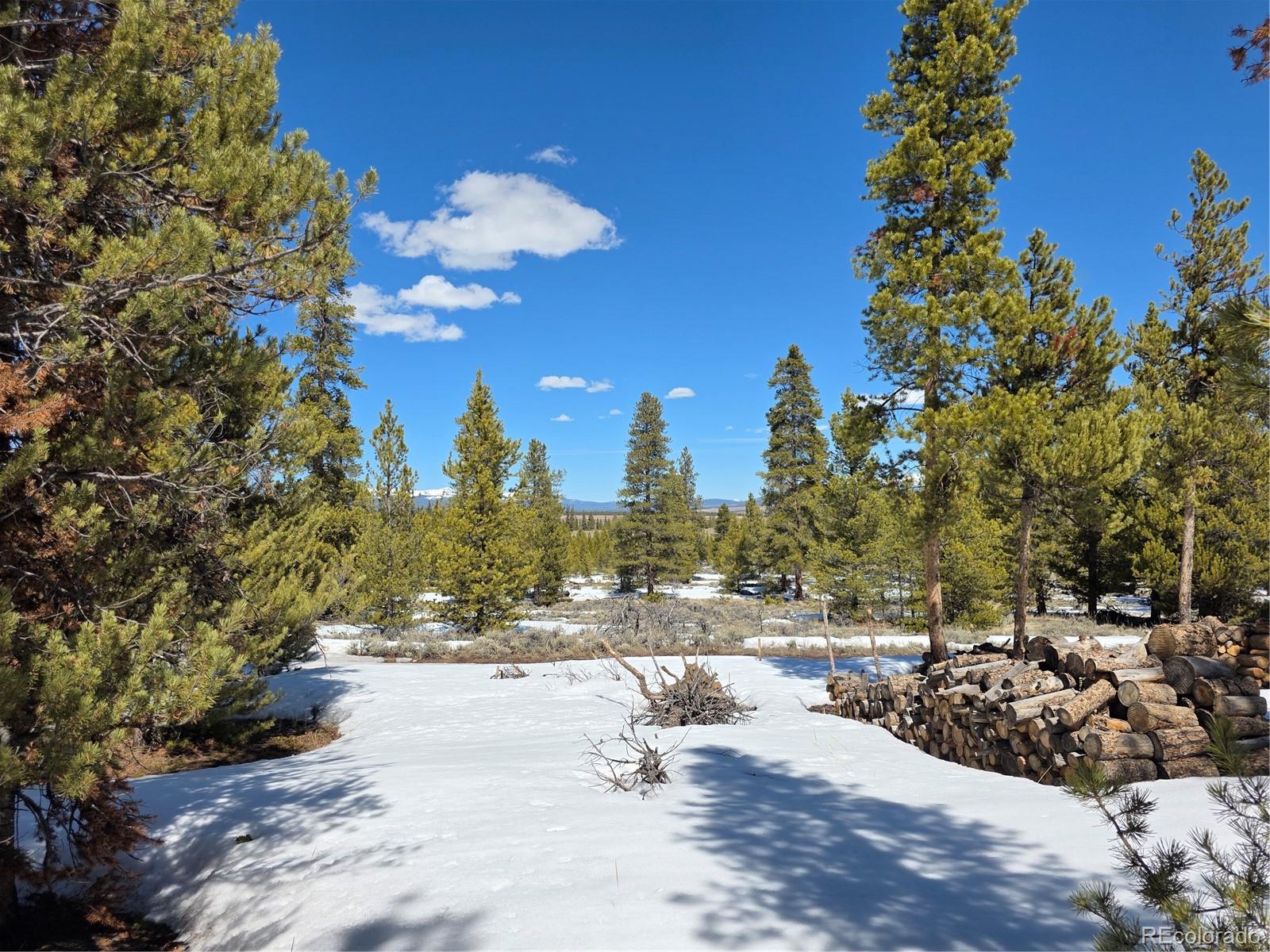 Pan Ark Lots 20 & 29 Twin Lakes CO 81251