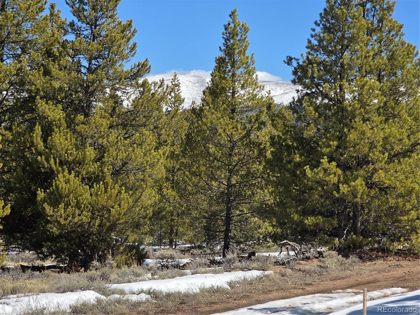 Pan Ark Lots 20 & 29 Twin Lakes CO 81251