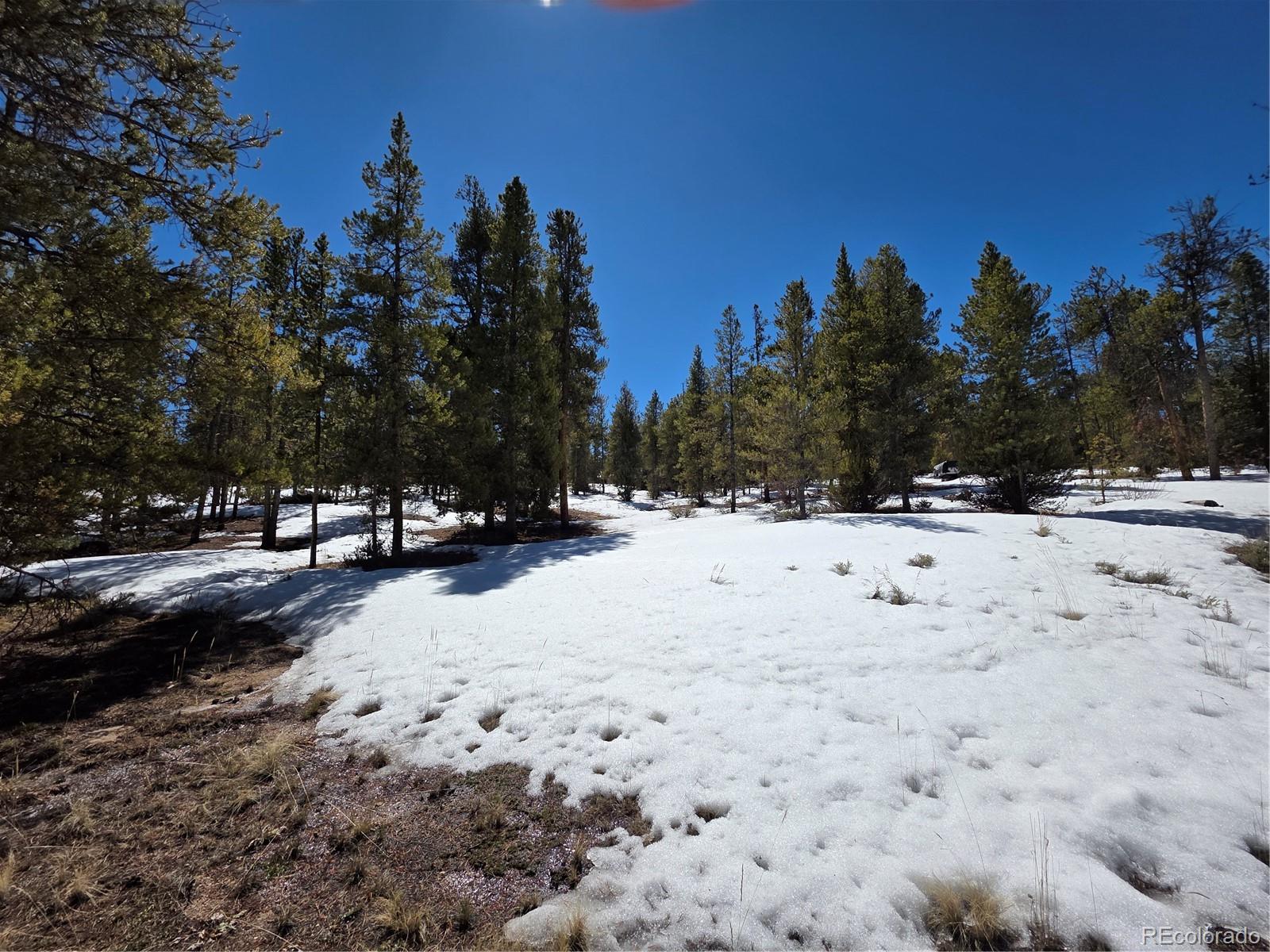 Pan Ark Lots 20 & 29 Twin Lakes CO 81251