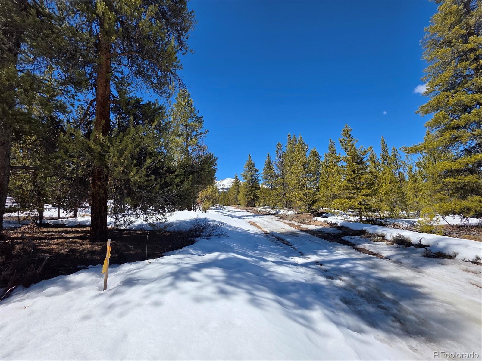 Pan Ark Lots 20 & 29 Twin Lakes CO 81251
