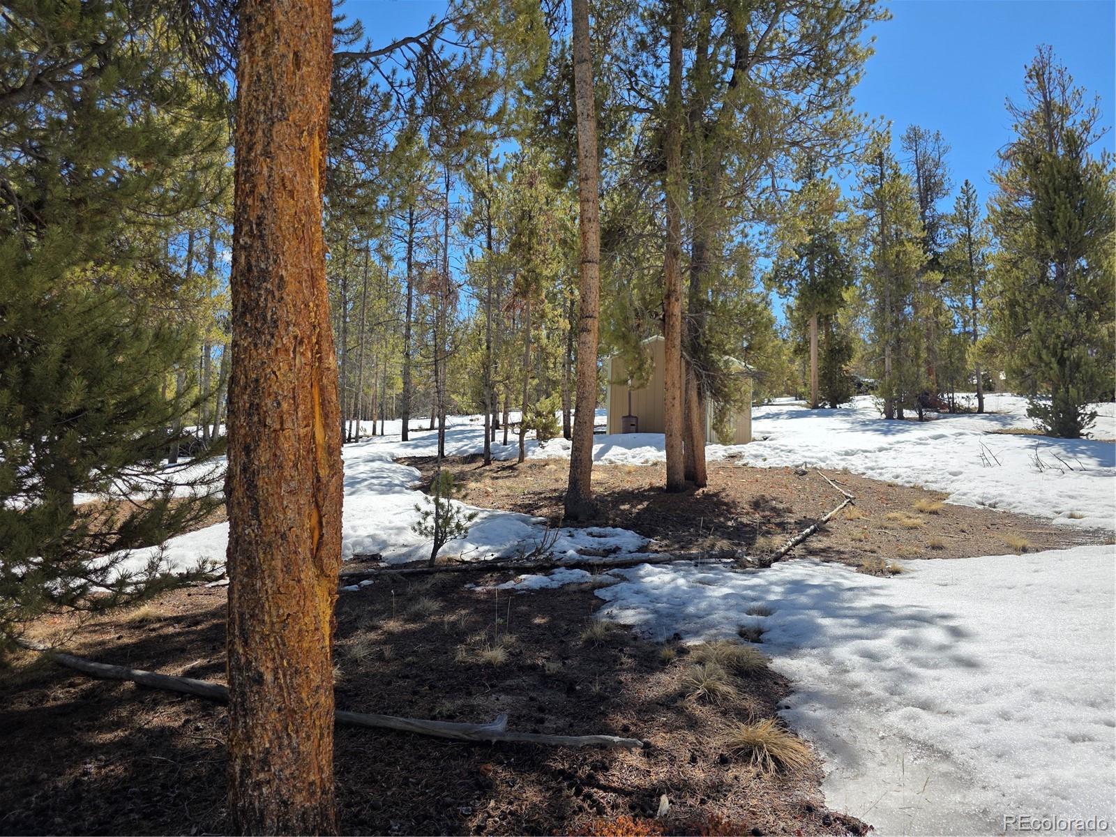 Pan Ark Lots 20 & 29 Twin Lakes CO 81251