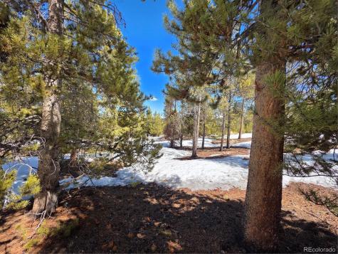 Pan Ark Lots 20 & 29 Twin Lakes CO 81251