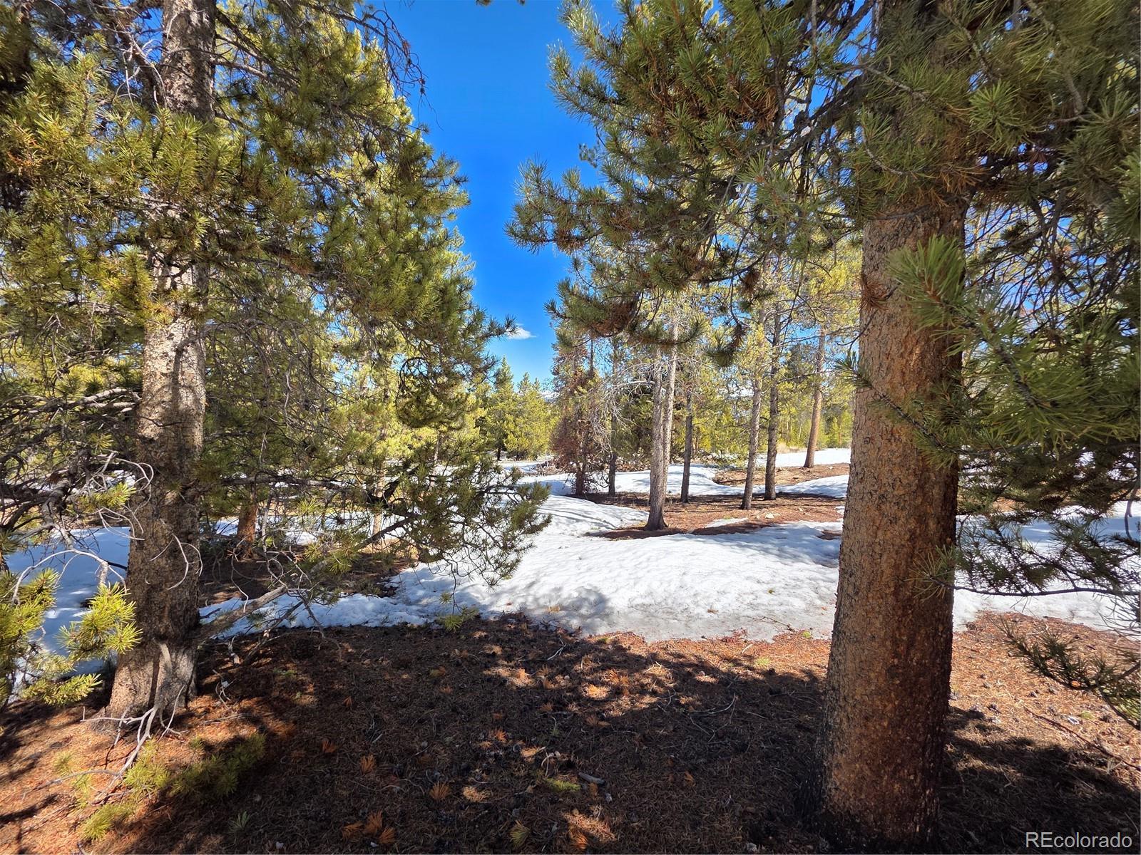 Pan Ark Lots 20 & 29 Twin Lakes CO 81251