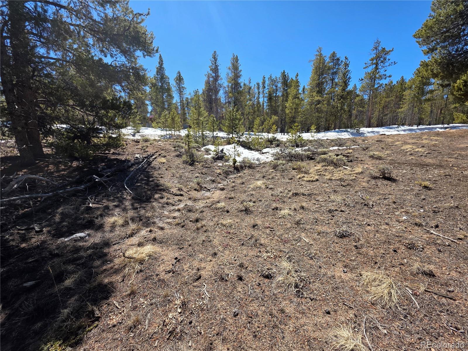 Pan Ark Lots 20 & 29 Twin Lakes CO 81251