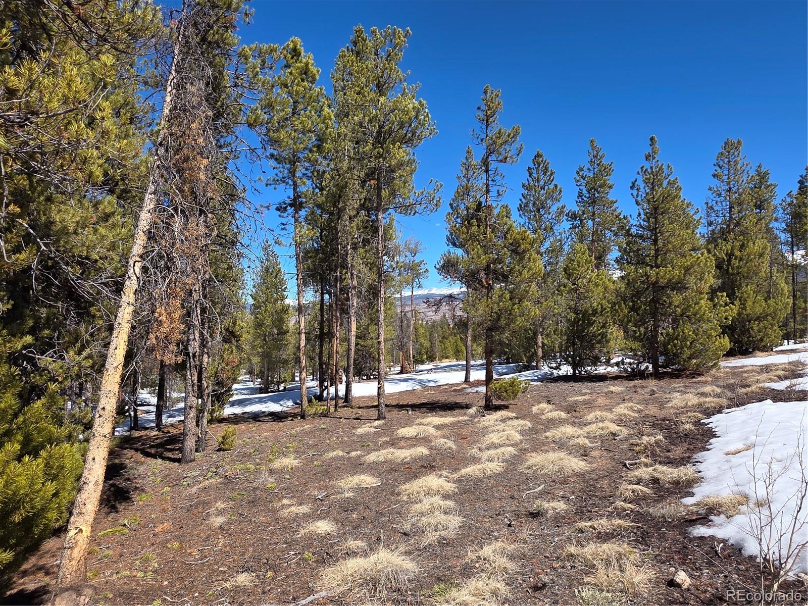 Pan Ark Lots 20 & 29 Twin Lakes CO 81251