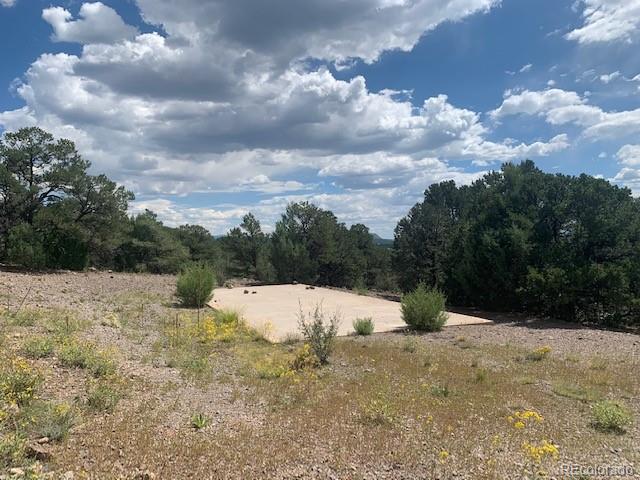 188 Looters Lane Westcliffe CO 81252