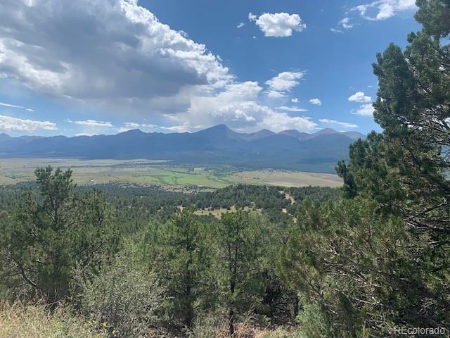 188 Looters Lane Westcliffe CO 81252