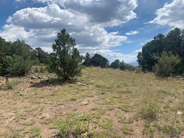 188 Looters Lane Westcliffe CO 81252