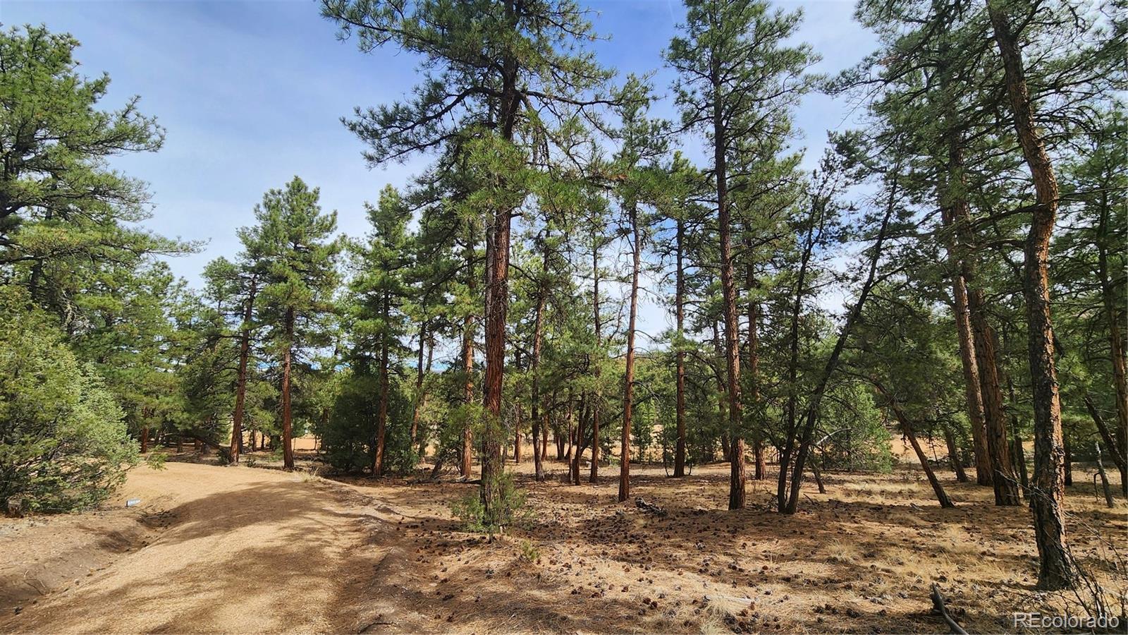 2417 Indian Wells Road Cotopaxi CO 81223