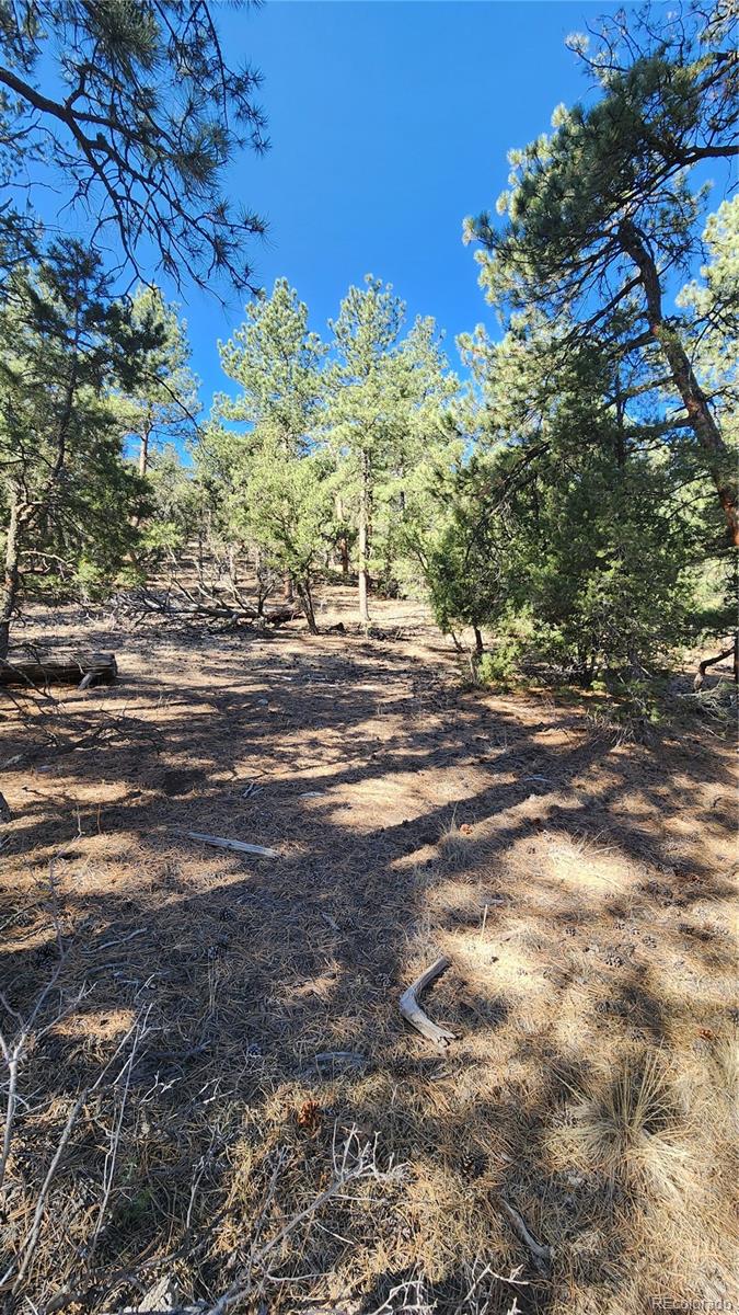 2417 Indian Wells Road Cotopaxi CO 81223