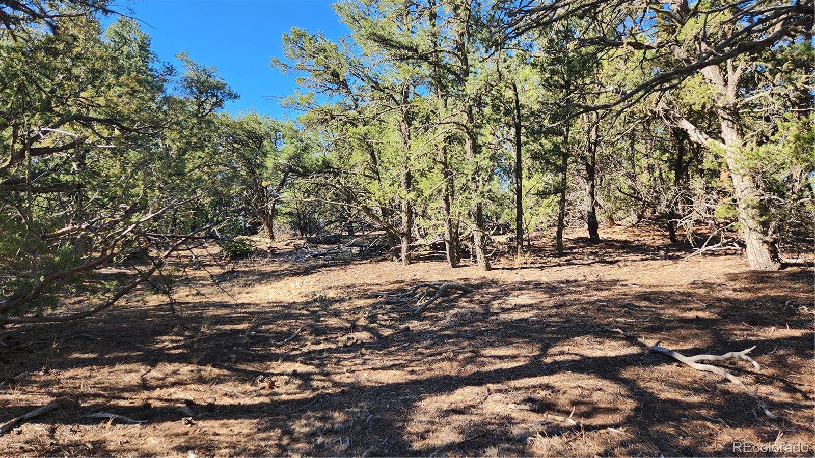 2417 Indian Wells Road Cotopaxi CO 81223