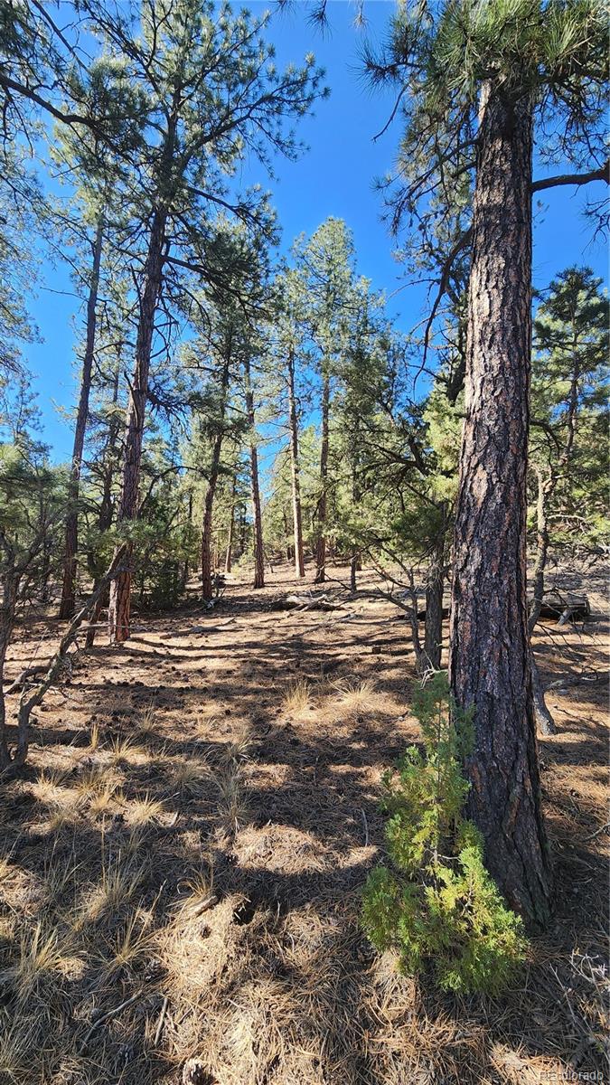 2417 Indian Wells Road Cotopaxi CO 81223