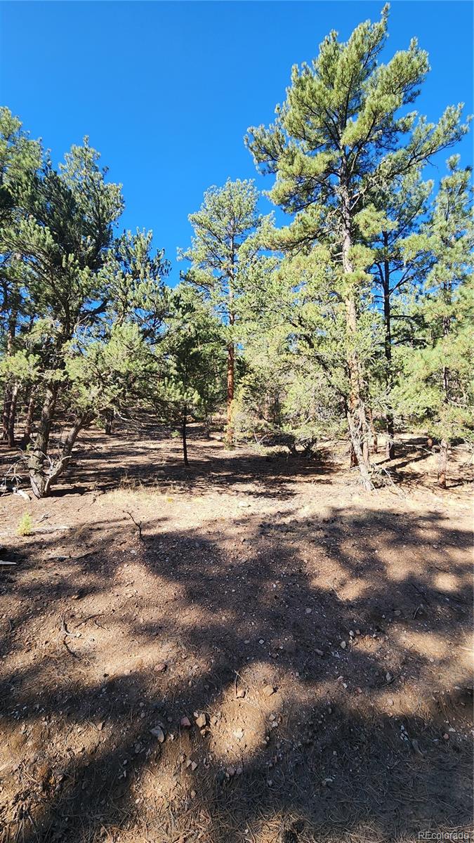 2417 Indian Wells Road Cotopaxi CO 81223