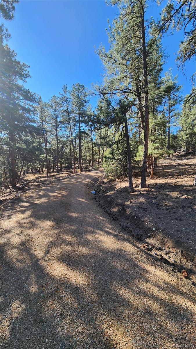 2417 Indian Wells Road Cotopaxi CO 81223