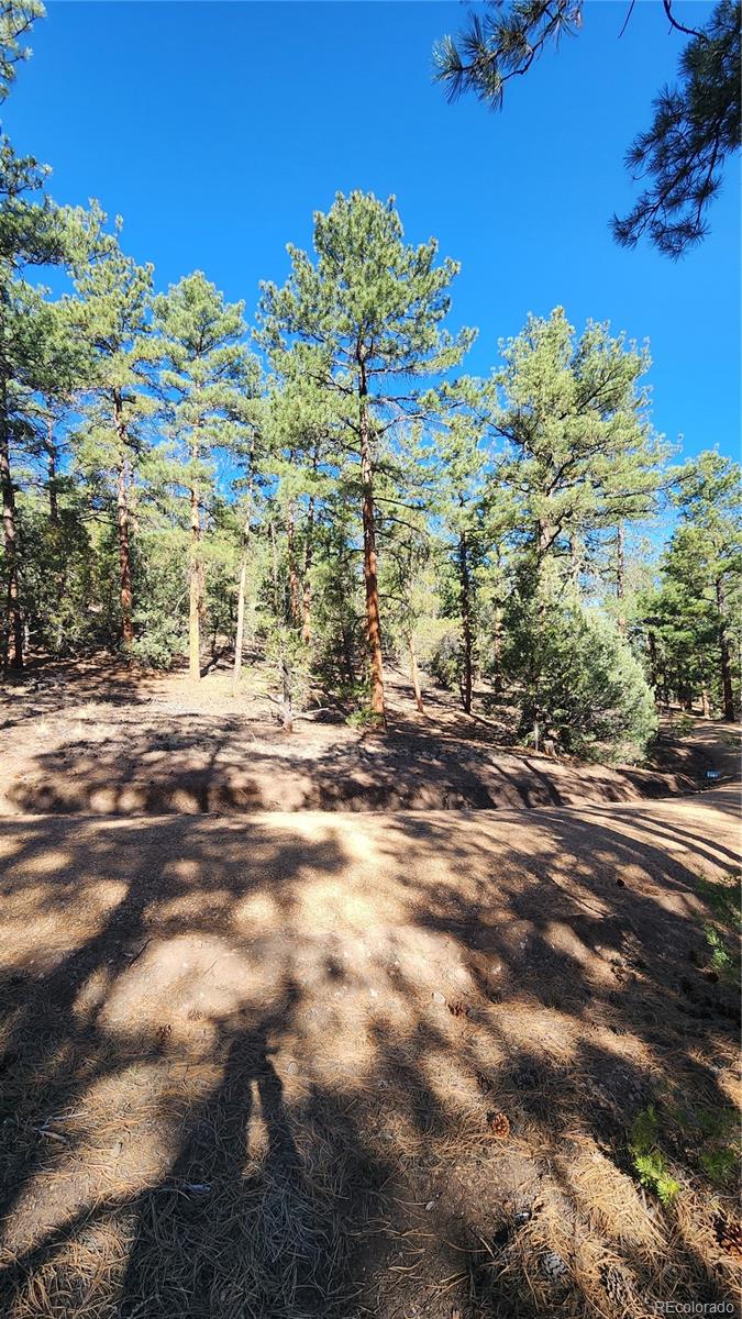 2417 Indian Wells Road Cotopaxi CO 81223