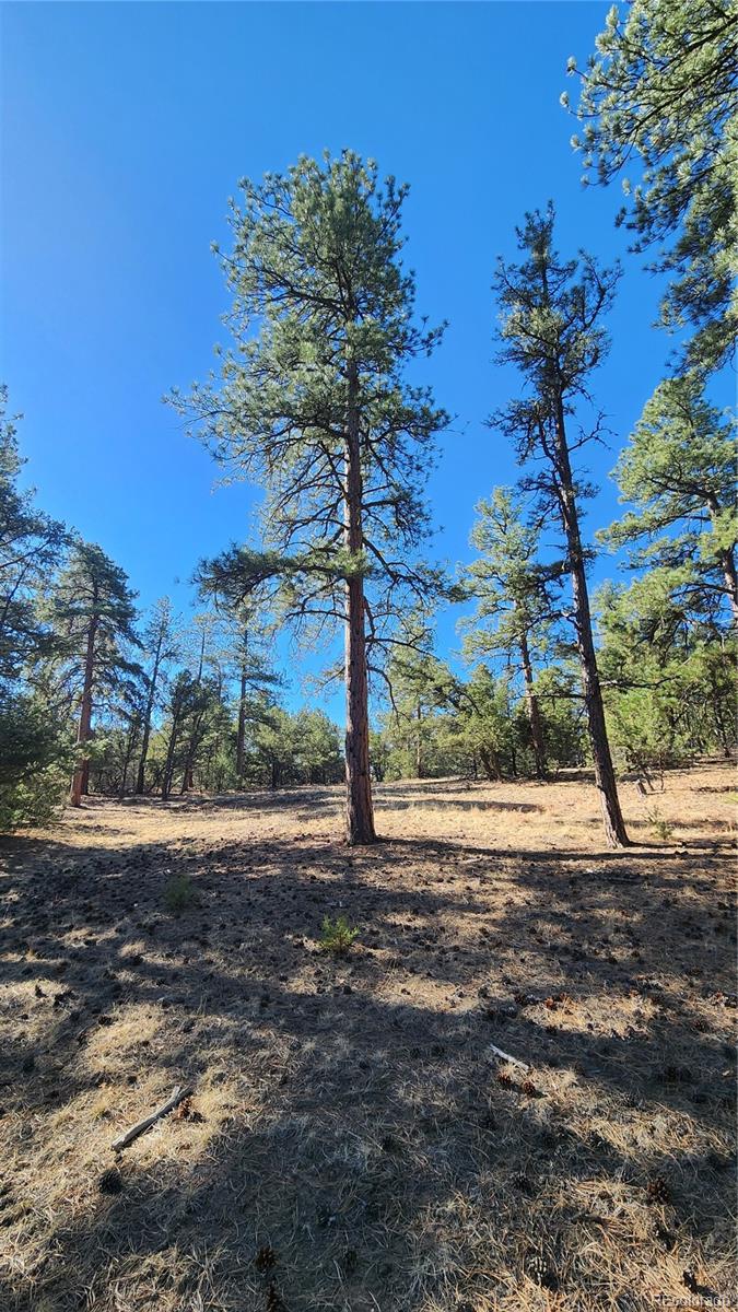 2417 Indian Wells Road Cotopaxi CO 81223