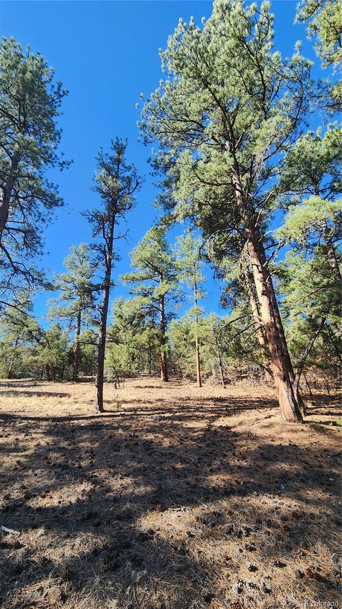 2417 Indian Wells Road Cotopaxi CO 81223