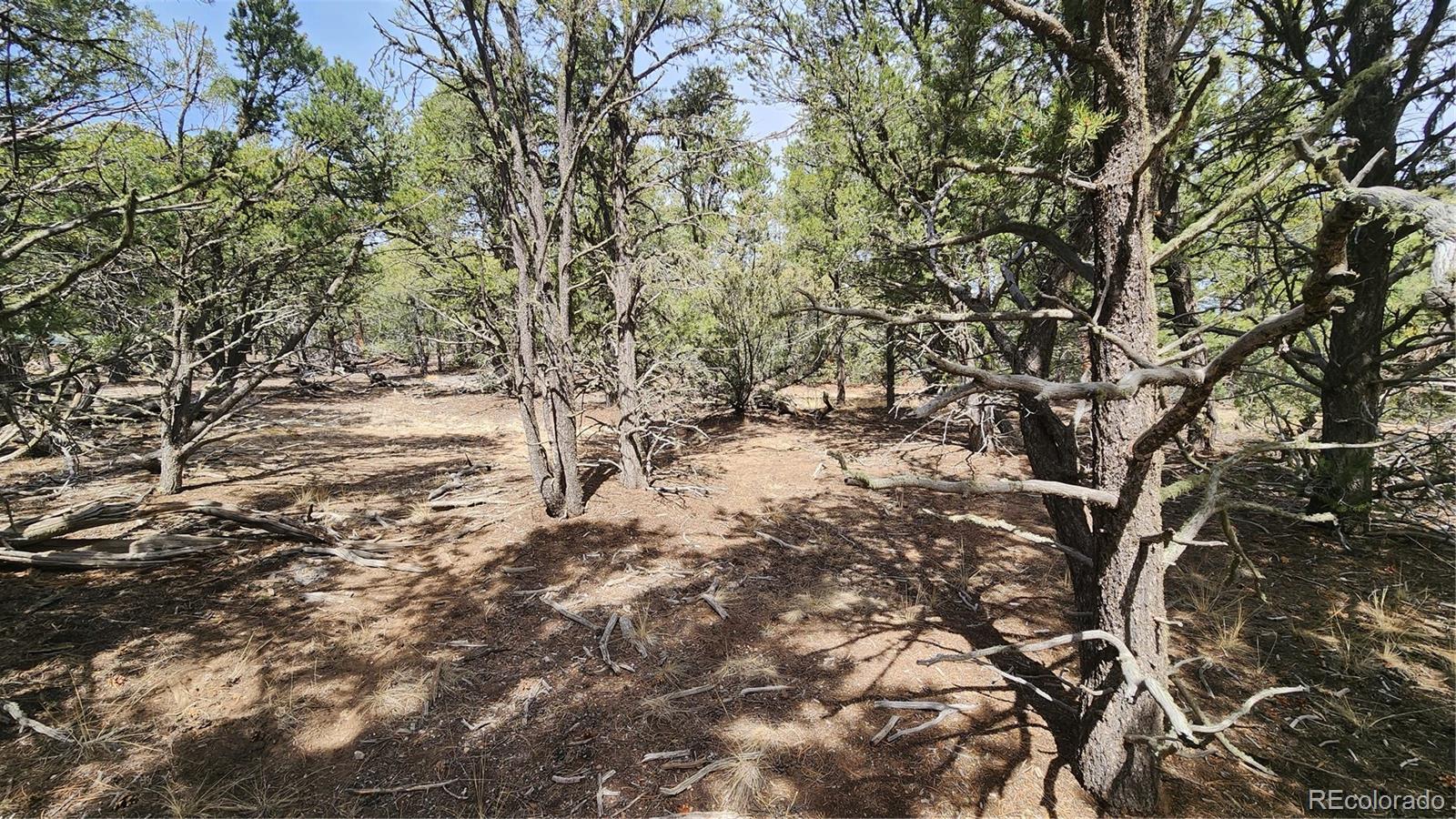 2417 Indian Wells Road Cotopaxi CO 81223