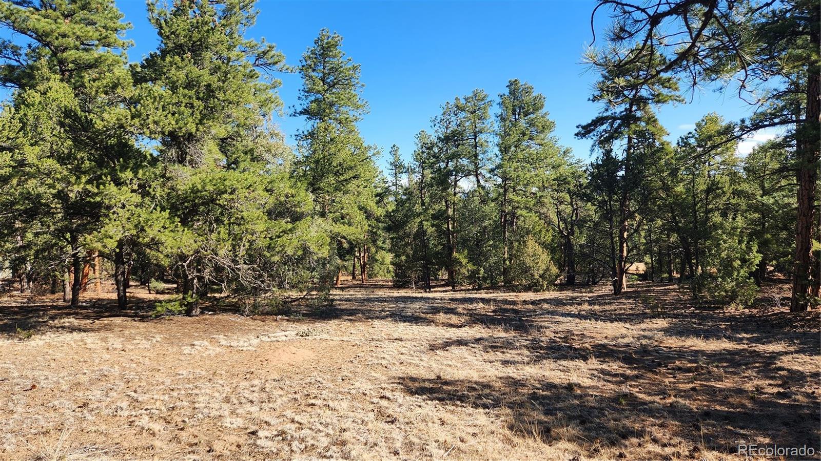 2417 Indian Wells Road Cotopaxi CO 81223
