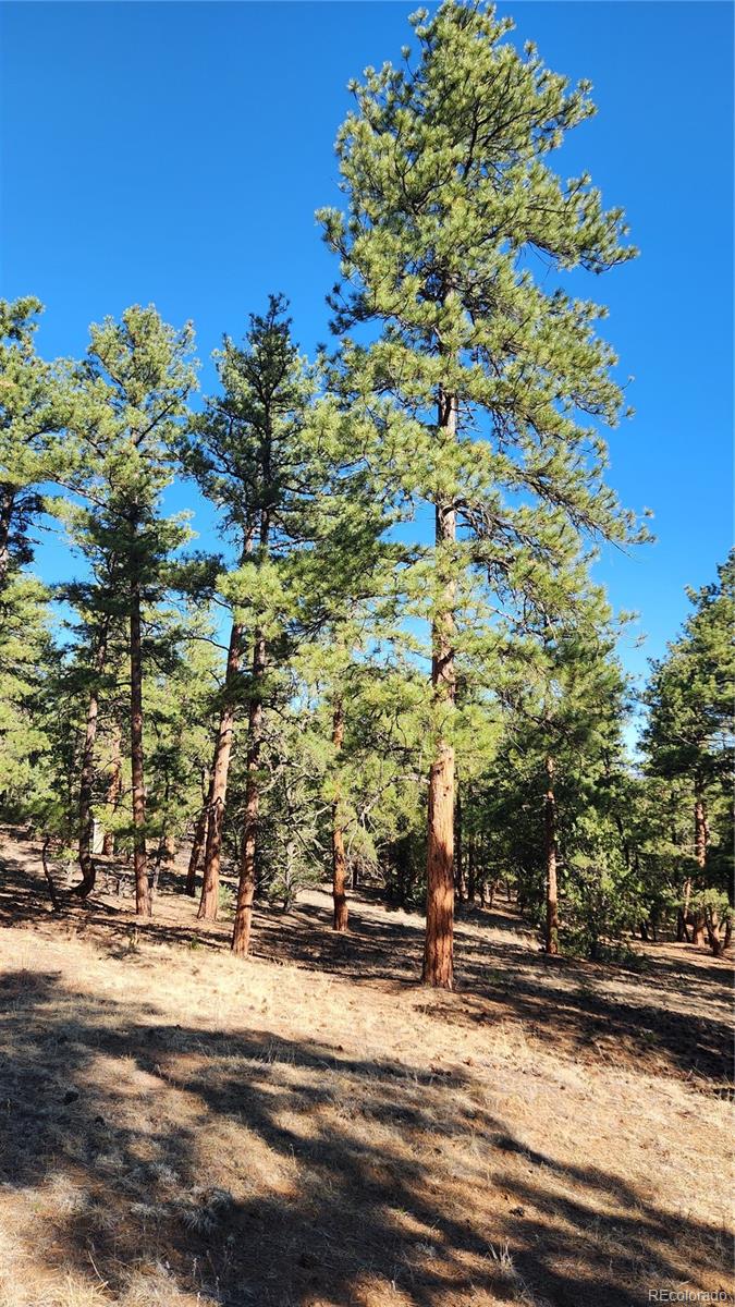 2417 Indian Wells Road Cotopaxi CO 81223