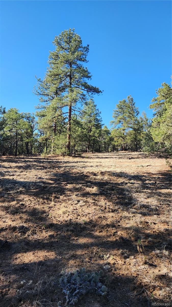2417 Indian Wells Road Cotopaxi CO 81223