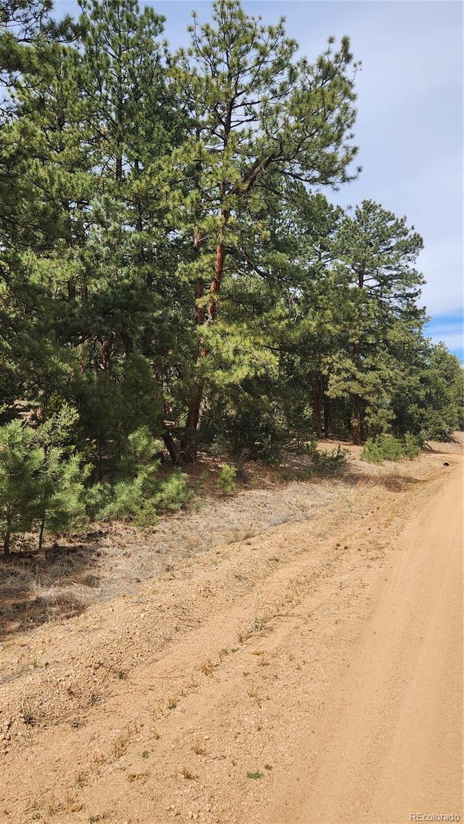2417 Indian Wells Road Cotopaxi CO 81223