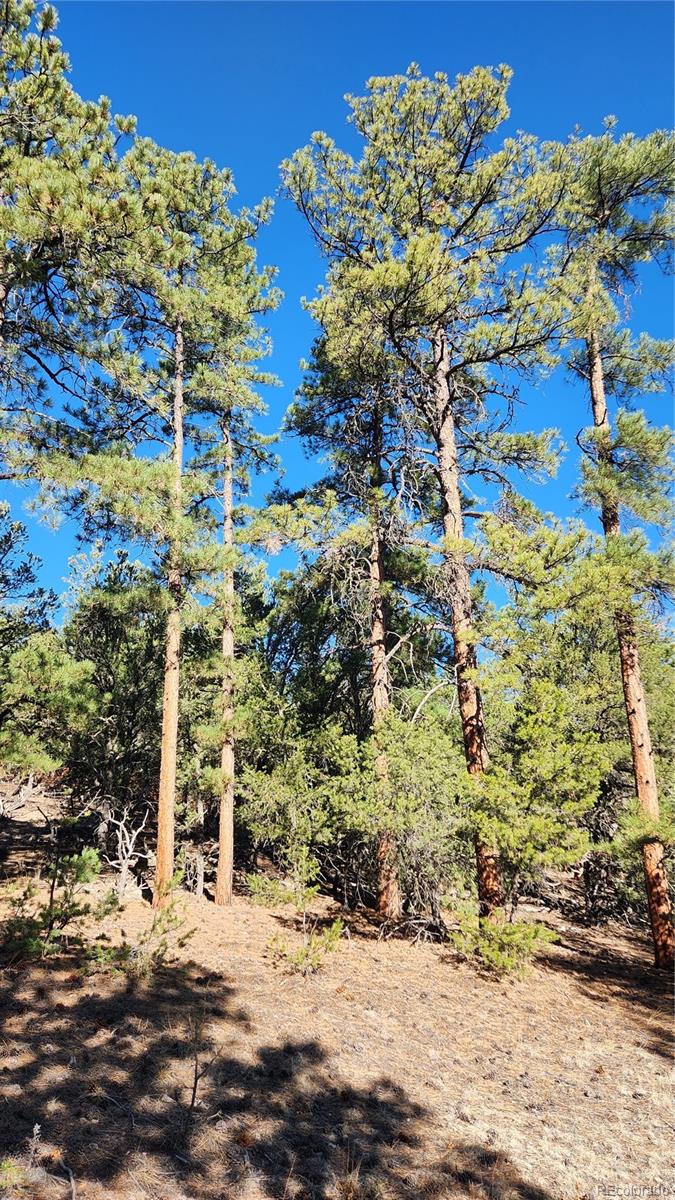 2417 Indian Wells Road Cotopaxi CO 81223