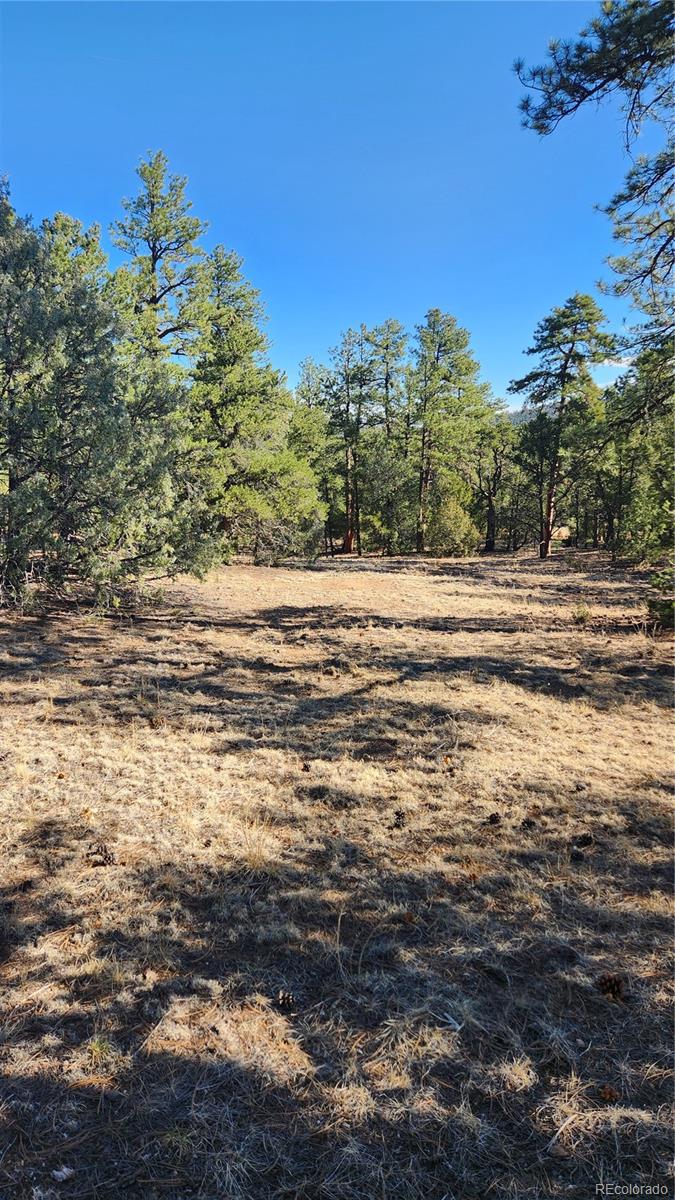 2417 Indian Wells Road Cotopaxi CO 81223