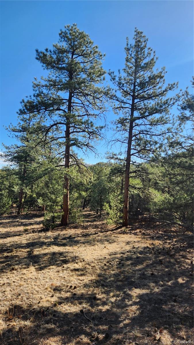 2417 Indian Wells Road Cotopaxi CO 81223
