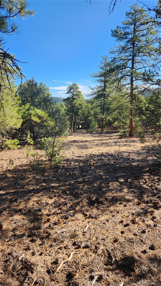 2417 Indian Wells Road Cotopaxi CO 81223