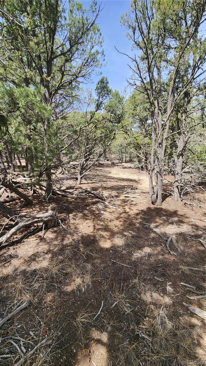2417 Indian Wells Road Cotopaxi CO 81223