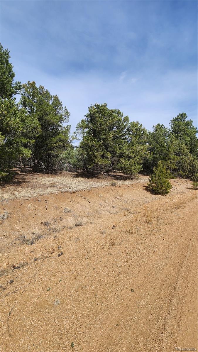 2417 Indian Wells Road Cotopaxi CO 81223