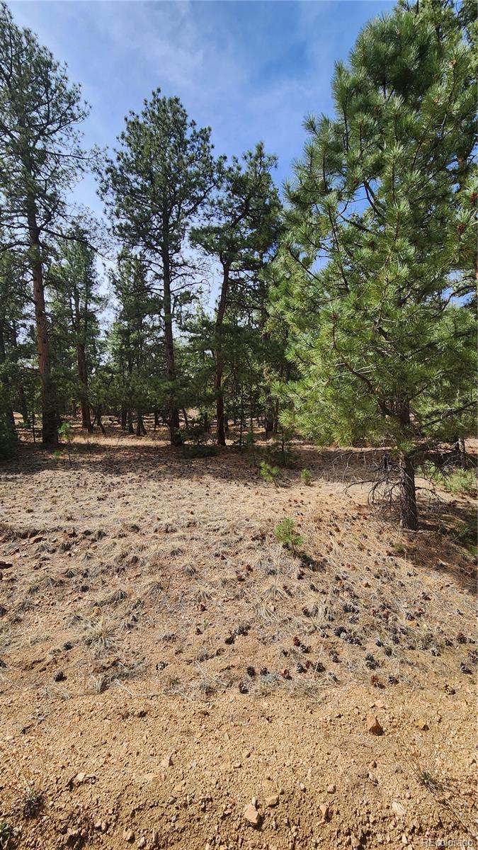 2417 Indian Wells Road Cotopaxi CO 81223