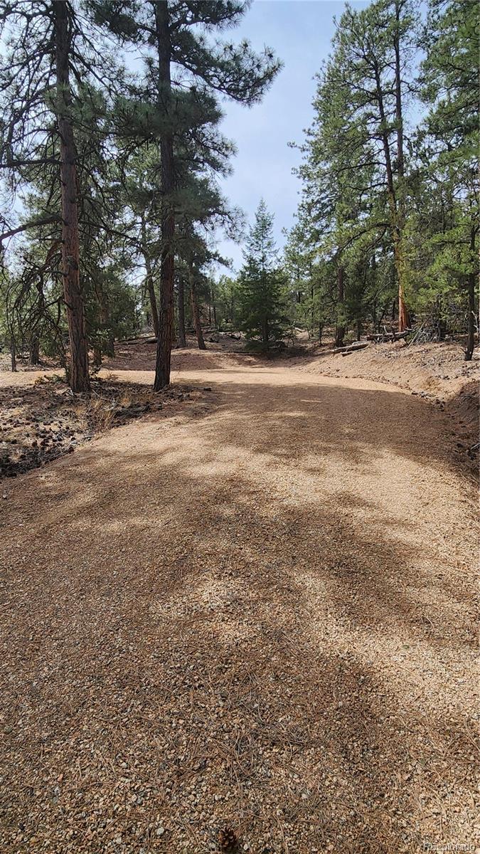 2417 Indian Wells Road Cotopaxi CO 81223